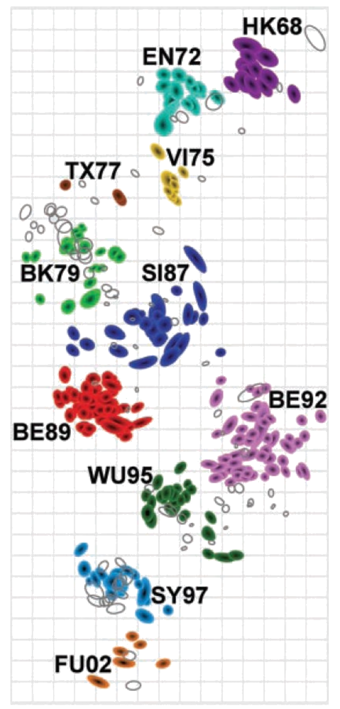 MDS - Influenza antigenic shift
