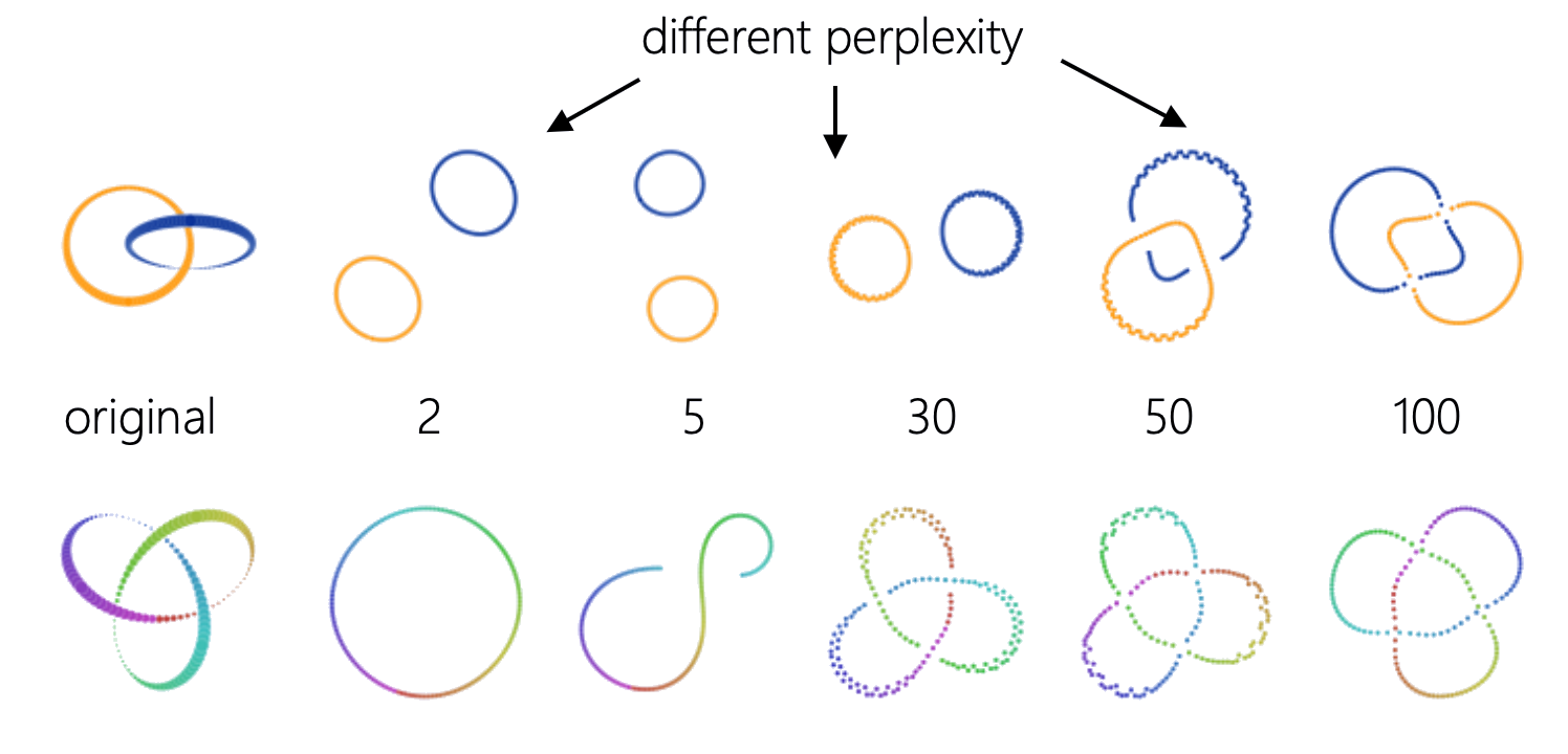 Effect of perplexity on t-SNE